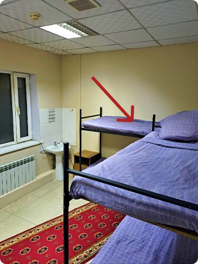 Fox Park Hostel Almaty Extérieur photo